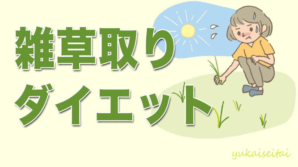 ダイエット