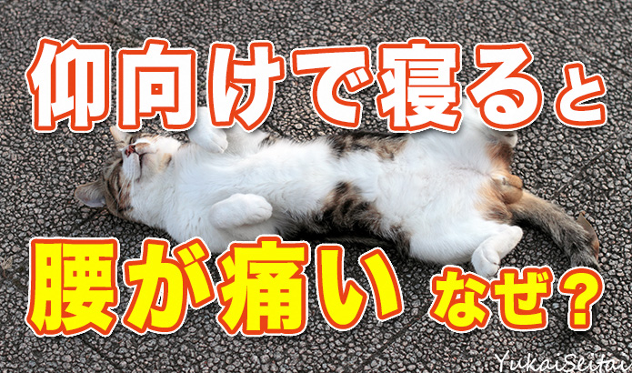 あおむけで寝ると腰が痛い人はここが原因です 愛媛県松山市の整体院なら ゆかい整体